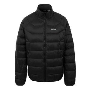 Regatta Mens Dalent Padded Jacket / Black